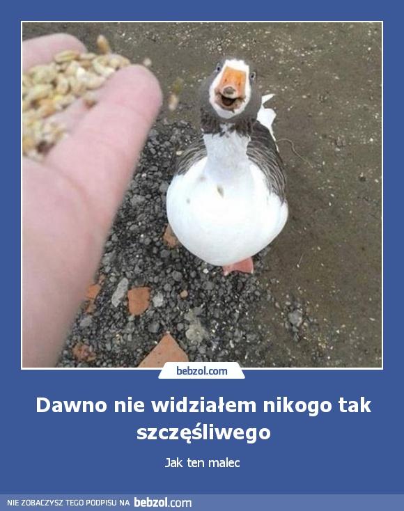 Dawno nie widziałem nikogo tak szczęśliwego
