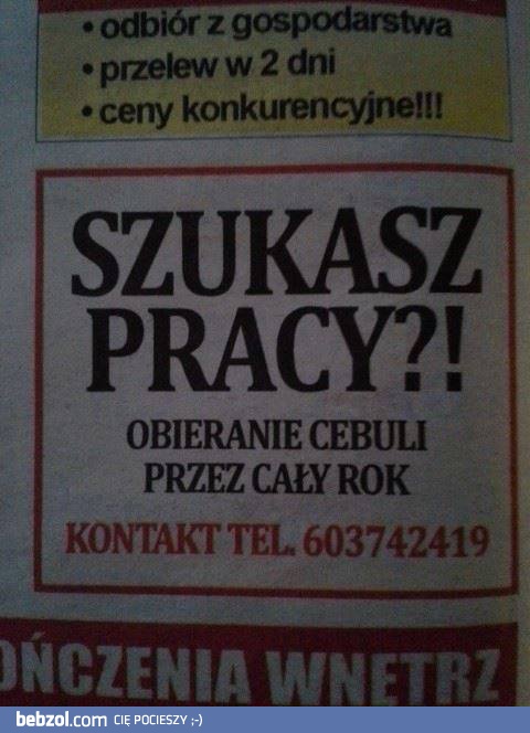 Praca która doprowadzi cie do łez