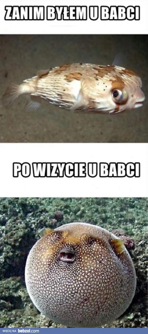 Wizyta u babci