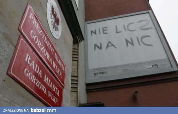 Nie licz na nic