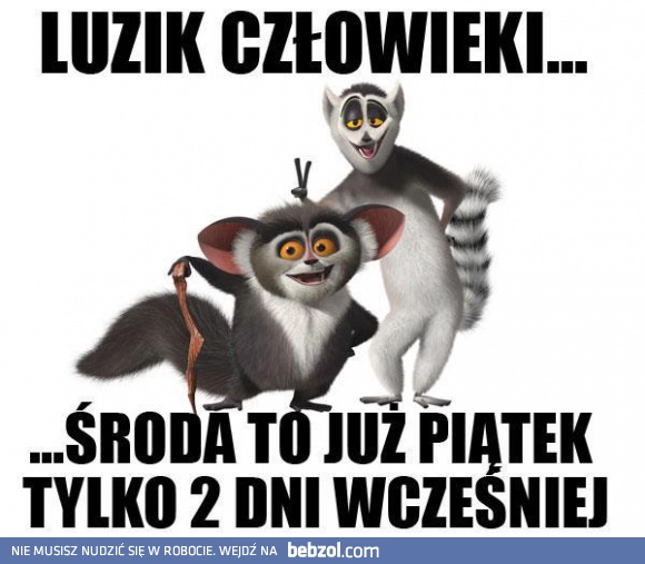 Dziś jest środa