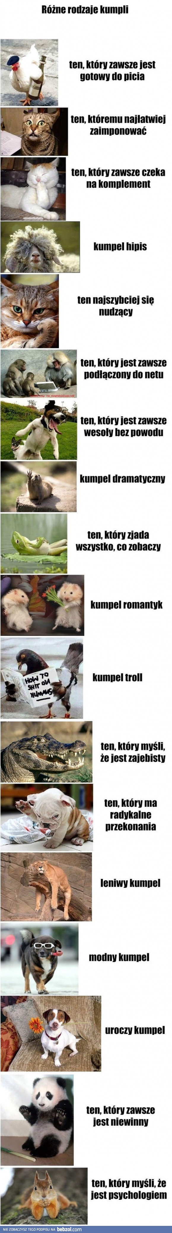 Różne rodzaje kumpli