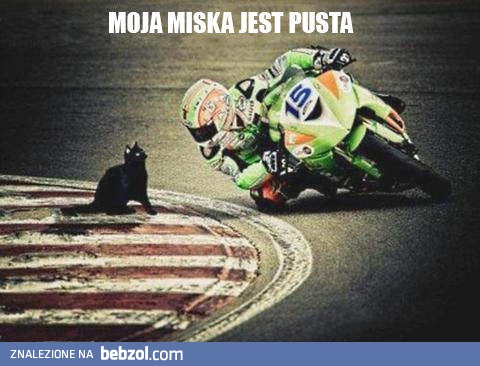 Moja miska jest pusta!