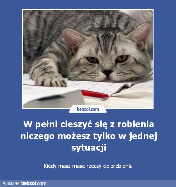 W pełni cieszyć się z robienia niczego możesz tylko w jednej sytuacji
