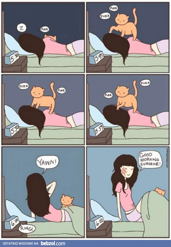 Dzień doberek kotku