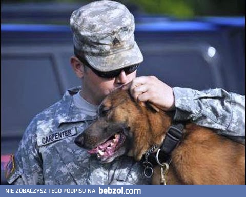 Psy witające powracających żołnierzy