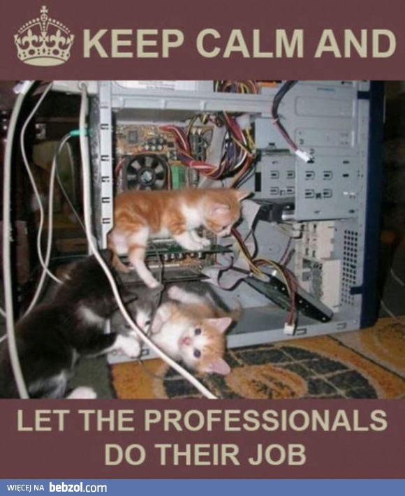 Daj profesjonalistom to zrobić