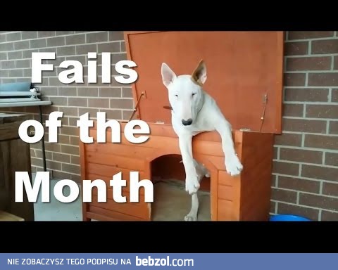 Kompilacja porażek z maja