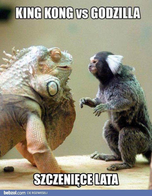King Kong vs Godzilla