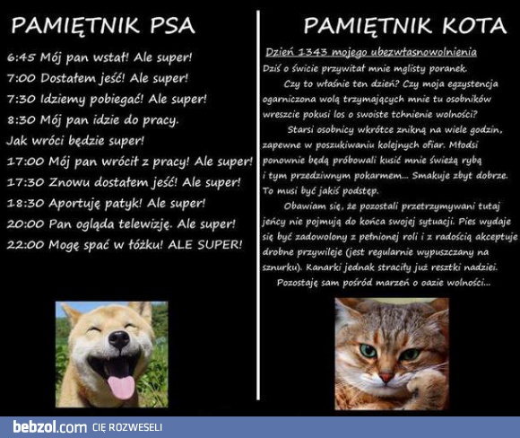 Z pamiętnika zwierzaka