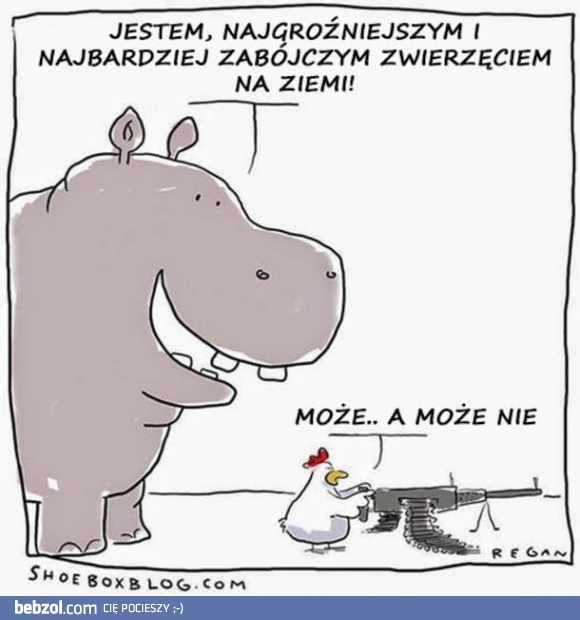 Zabójcze stworzenia