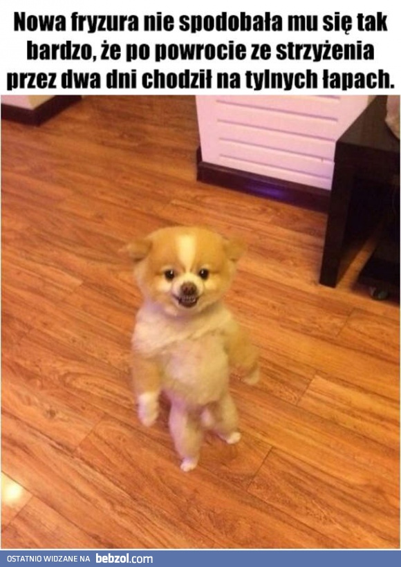 Fryzura się nie spodobała