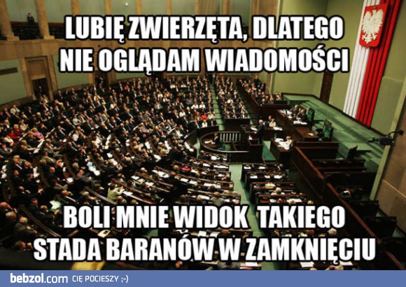 Dbajmy o zwierzęta!