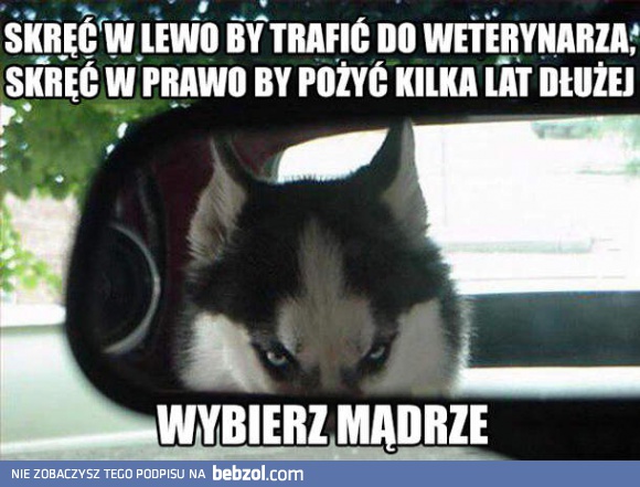 Skręć w lewo, by...