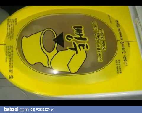 Jak pomysłowo odtykać toaletę