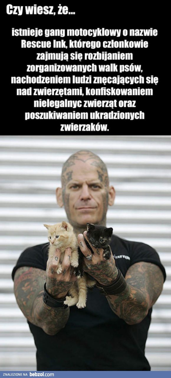 Gang prawdziwych twardzieli