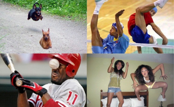 18 fotek uchwyconych w idealnym momencie