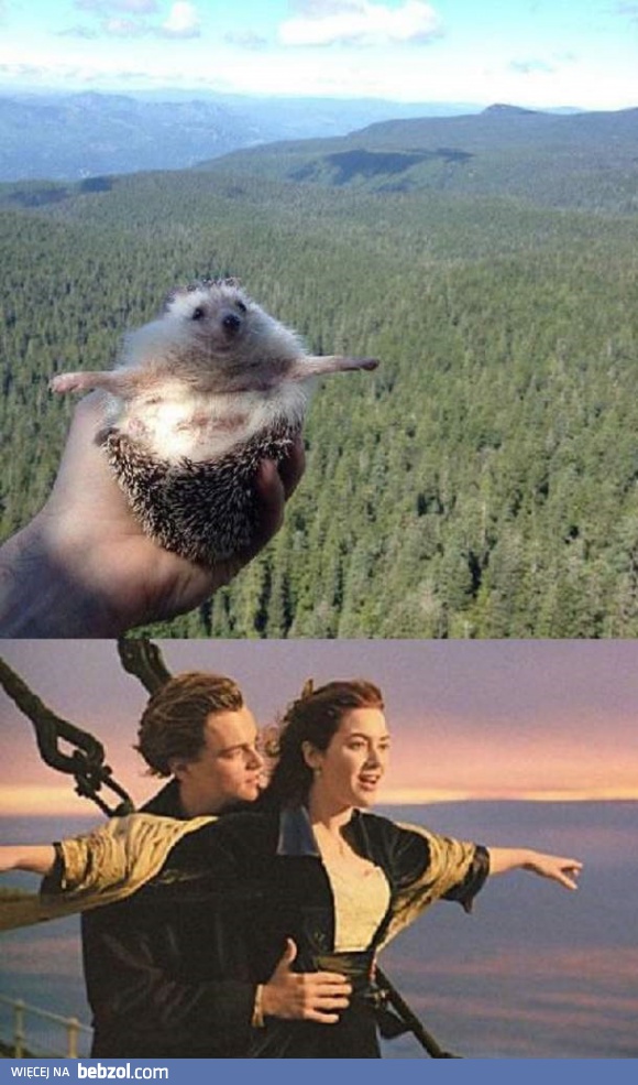 Jestę królę świata!