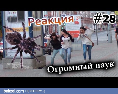 Atak wielkiego pająka