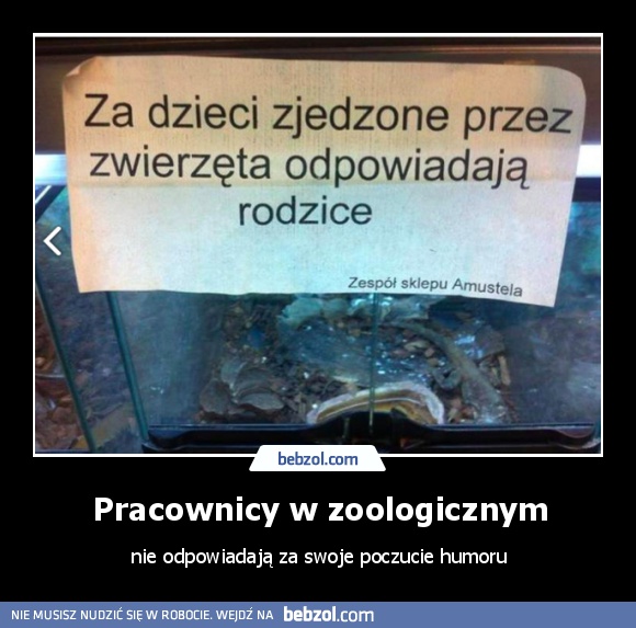 Pracownicy w zoologicznym