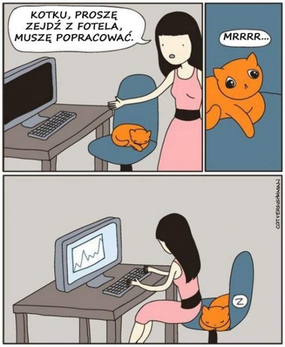 21 trudności, z którymi muszą zmagać się właściciele kotów