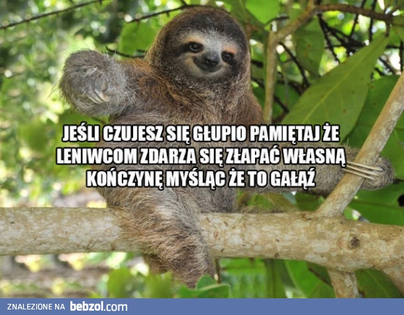 Nadal czujesz się głupio?