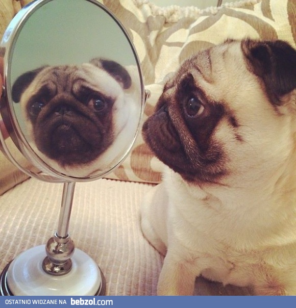 A cóż to za przystojniak