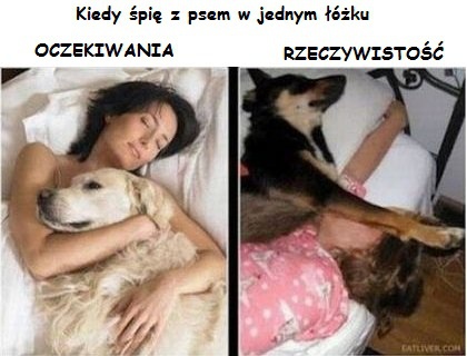 Oczekiwania kontra rzeczywistość (18 zdjęć)