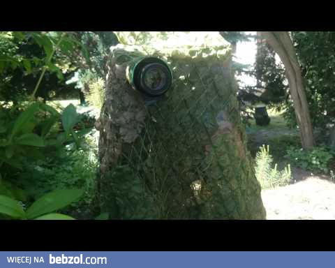 Pomysłowość Straży Miejskiej z Poręby