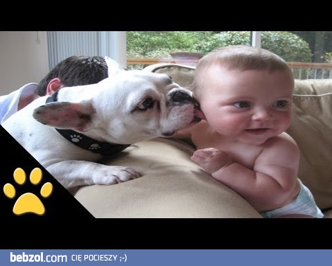 Fajne psy i miłe dzieci