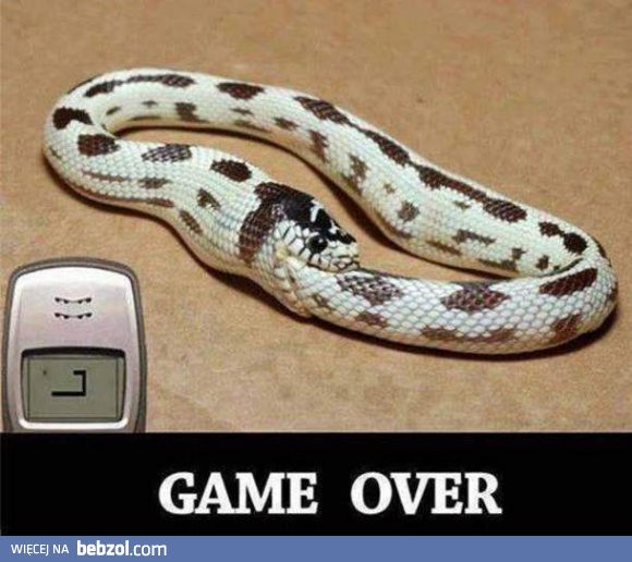 Game over