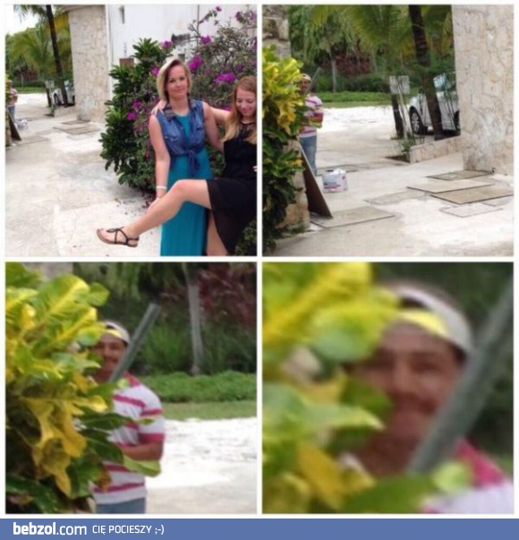 Raz dwa trzy, ogrodnik patrzy!