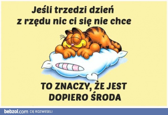 Wyliczyliśmy ostatnio