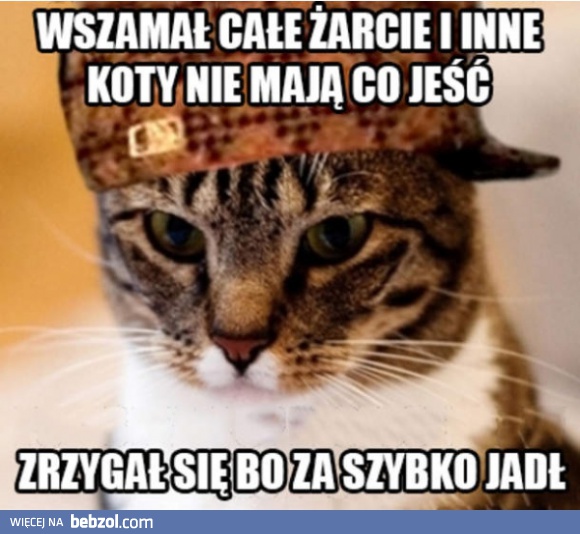 Wredny koteł