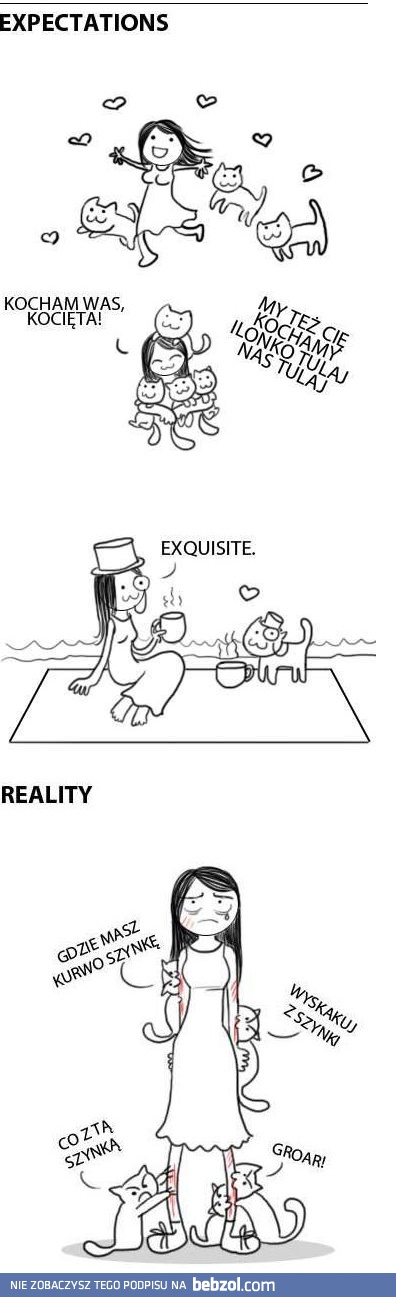 Radość z posiadania kotów