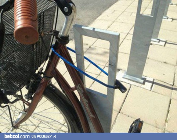 Po czym poznać, że to rower blondynki?