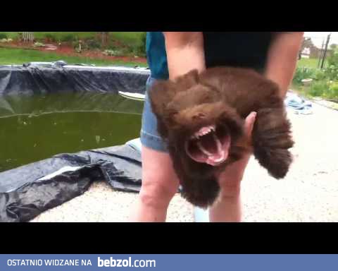 Cóż to za potwór?