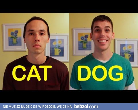 Ludzie-psy i ludzie-koty