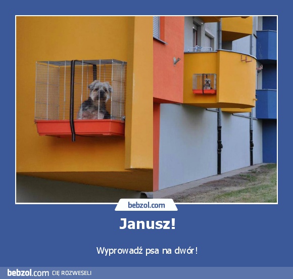 Janusz!