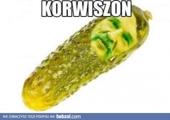 Korwiszon