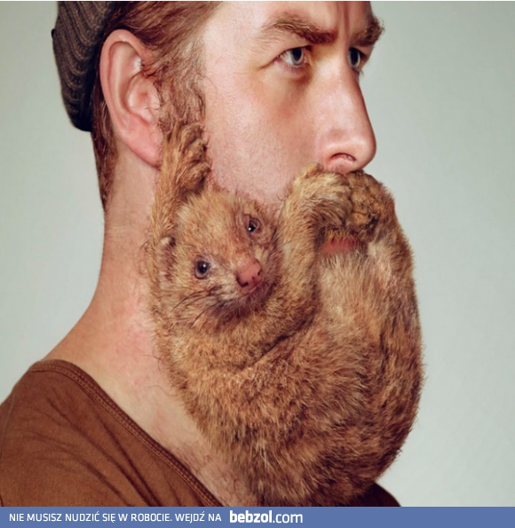 Niezły z niego zwierzak
