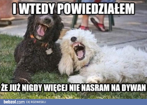 I człowiek to kupił!