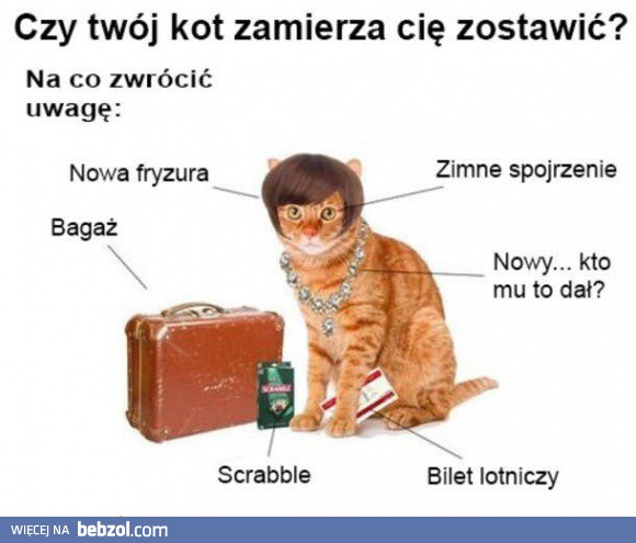 Czy Twój kot zamierza Cię zostawić?