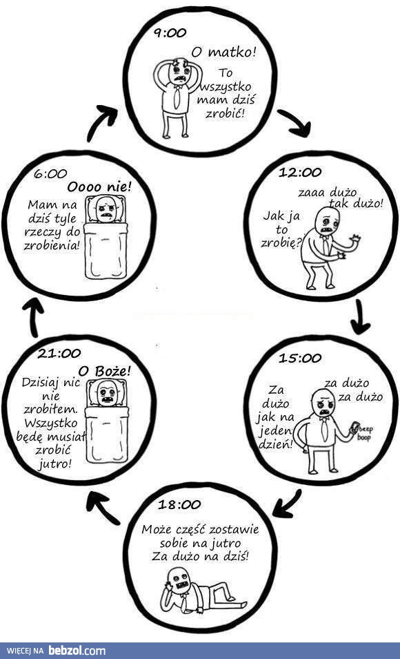 Cykl życia