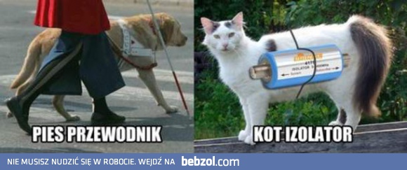 Elektryczne zwierzęta