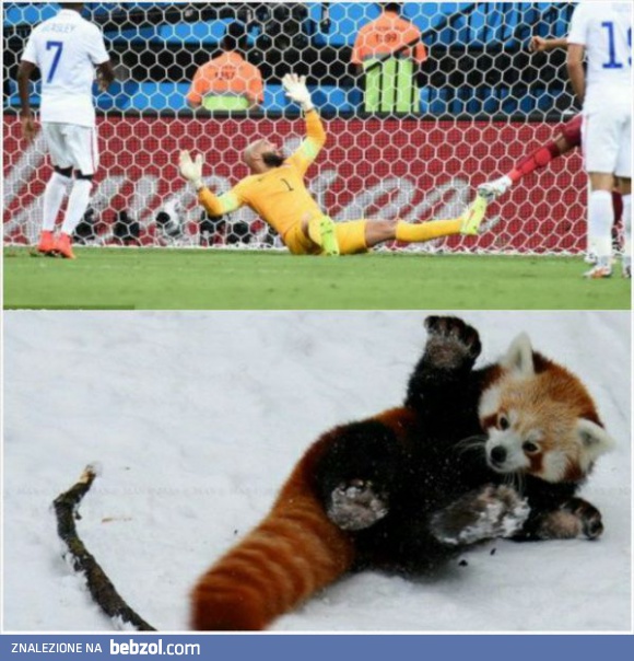 Tymczasem na Mistrzostwach