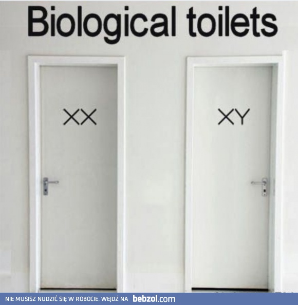 Biologiczne dostępy