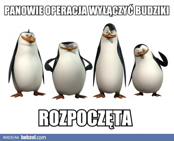 Alarm? A na co to komu?