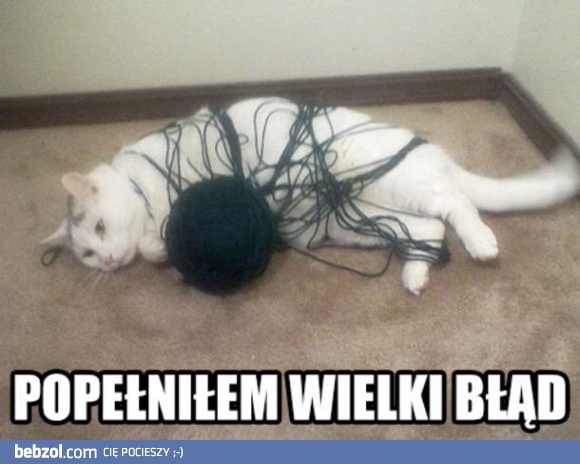 Wielki błąd kota