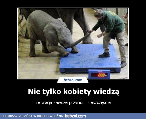 Nie tylko kobiety wiedzą